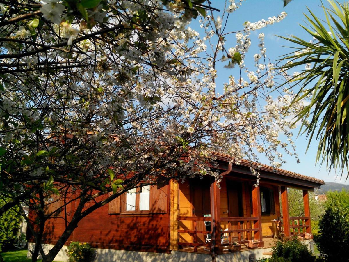 Mi Cabana Villa Ribadumia Ngoại thất bức ảnh